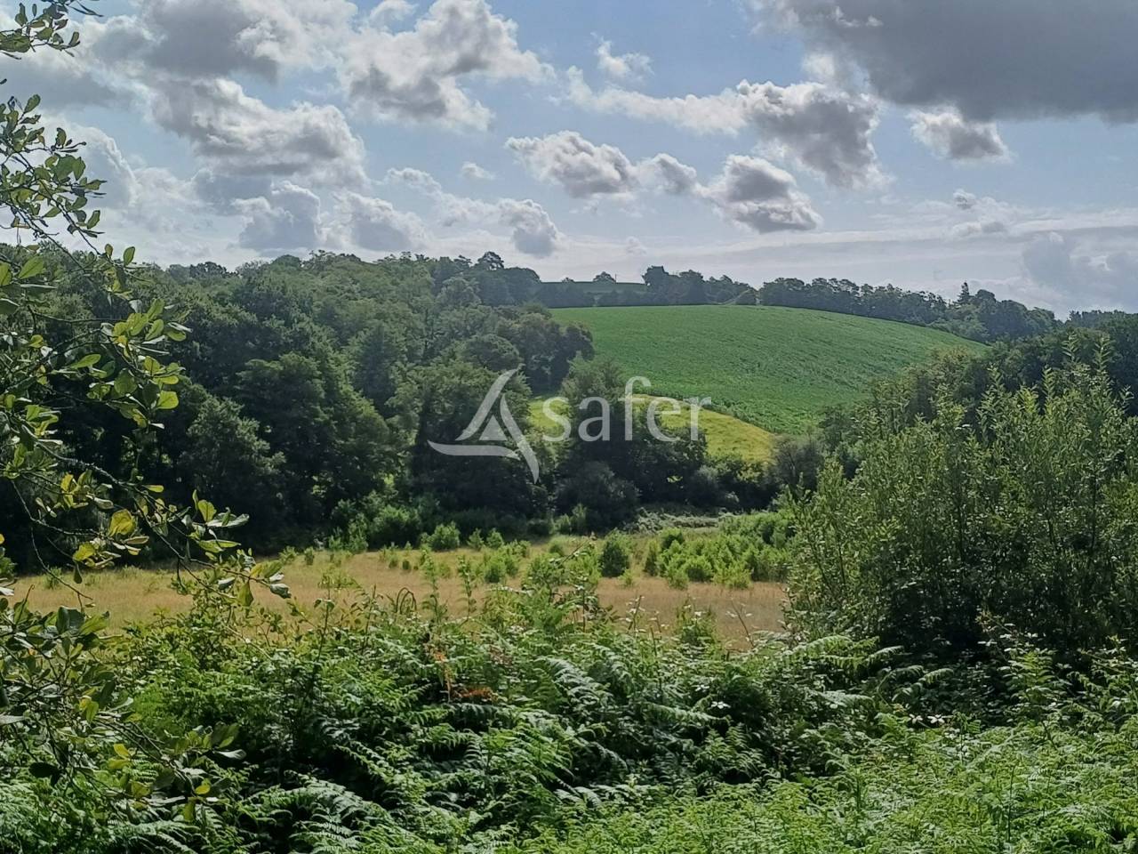 Azienda agricola In vendita Landes