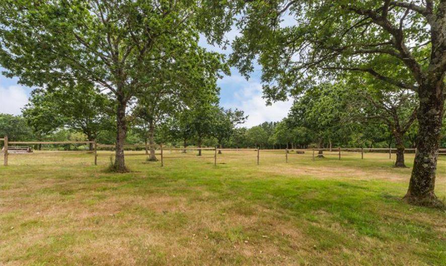 Bella dimora equestre In vendita C&ocirc;te d'Armor