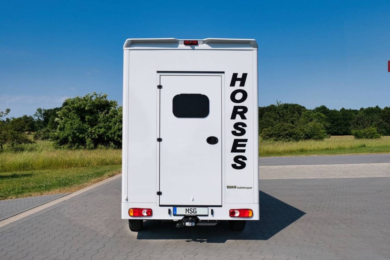 Van per Cavalli Renault RENAULT 0 Nuovo