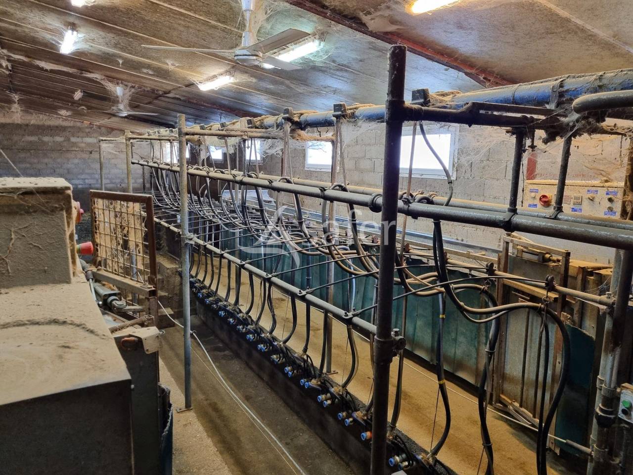 Azienda ovina In vendita Tarn-et-Garonne