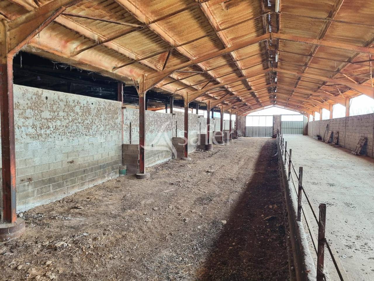 Azienda ovina In vendita Tarn-et-Garonne