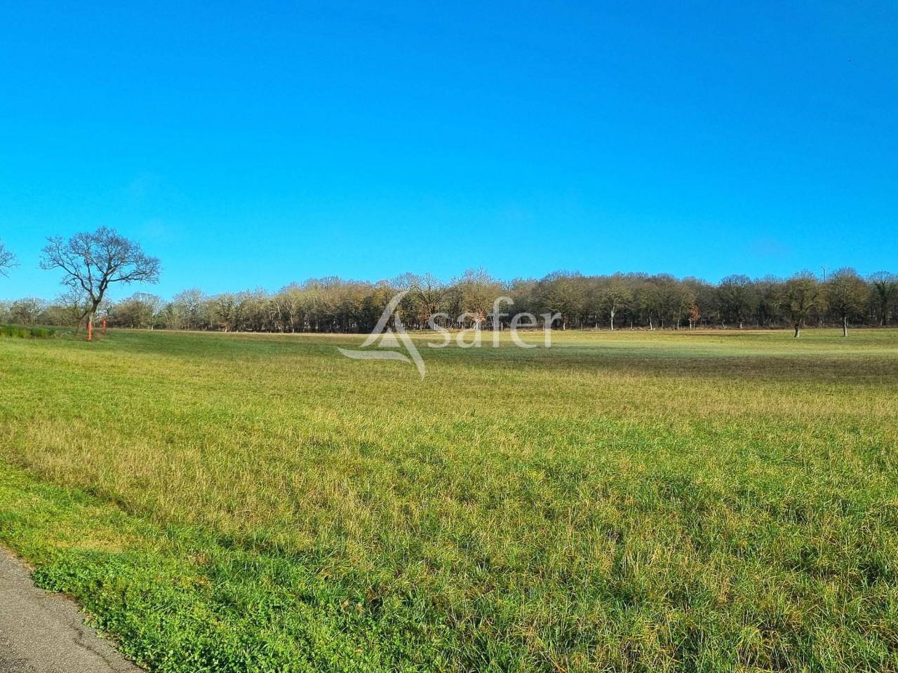 Azienda ovina In vendita Tarn-et-Garonne