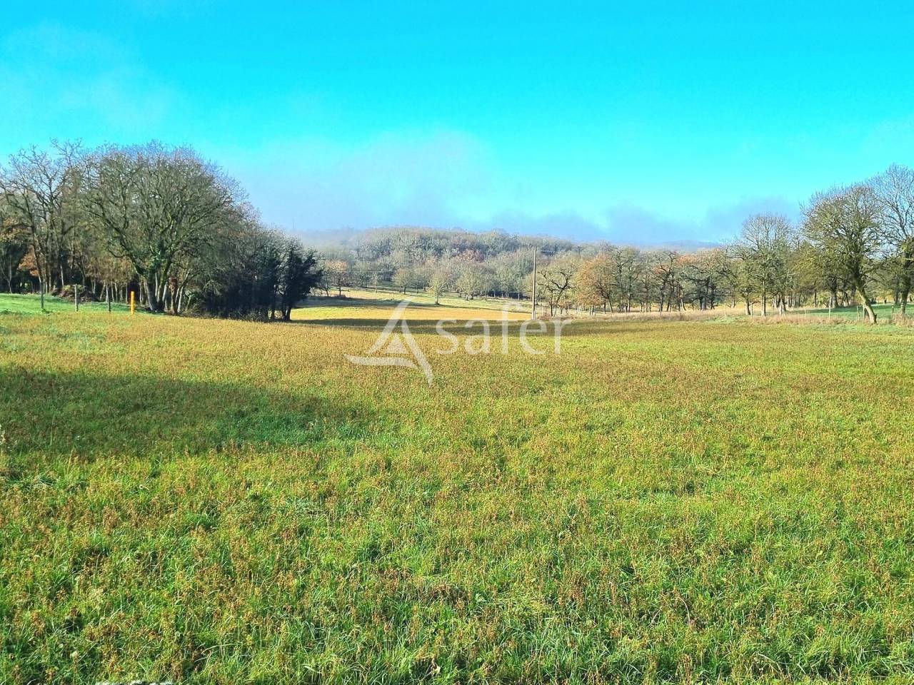 Azienda ovina In vendita Tarn-et-Garonne