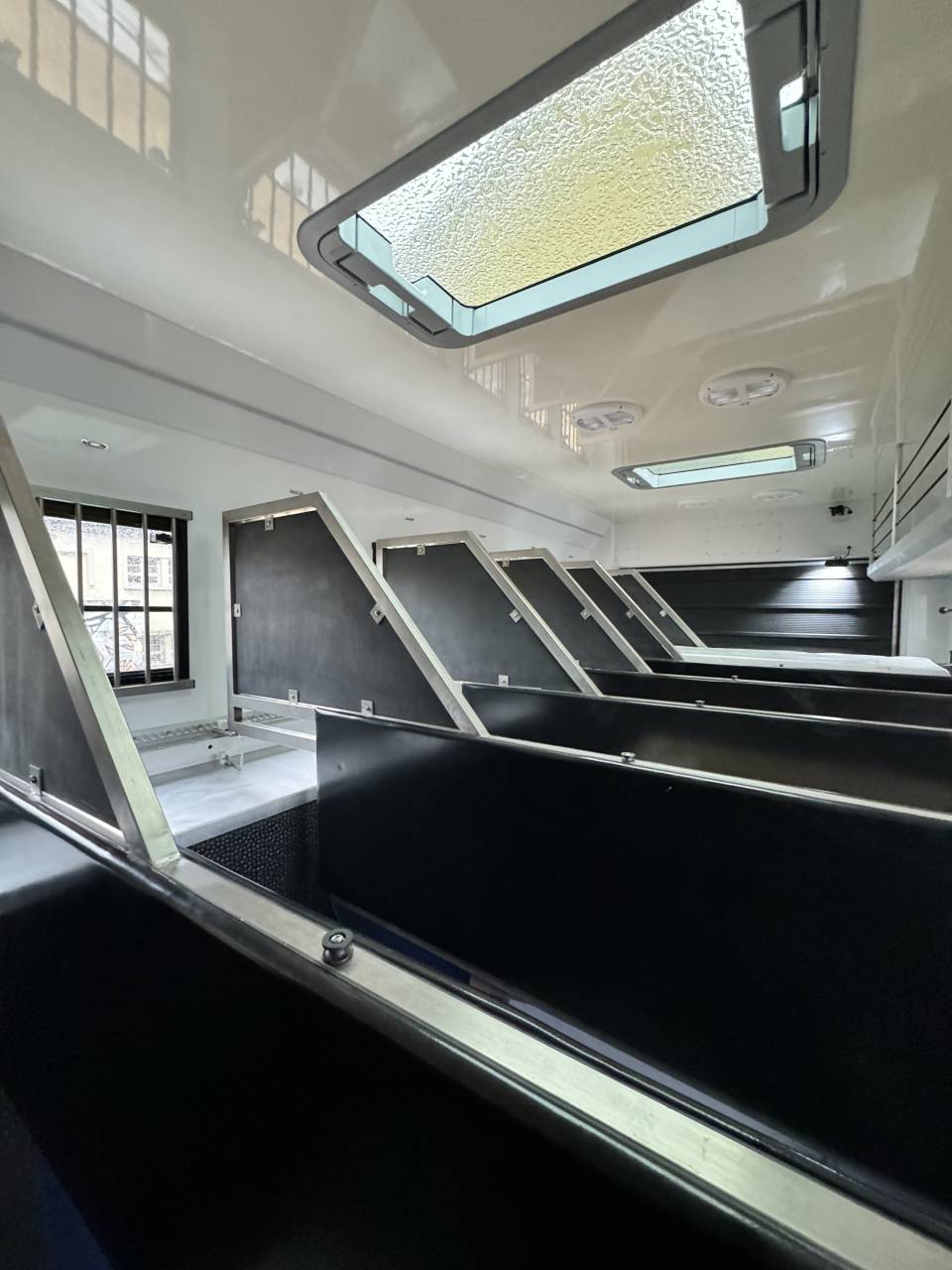 Camion per Cavalli Scania Conceptpgo7  2014 Occasione