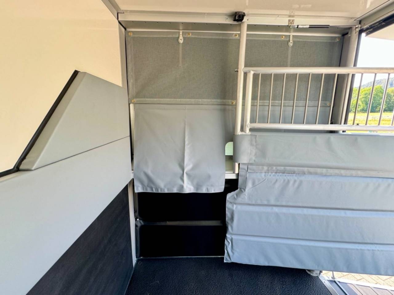 Van per Cavalli Altra marca NISSAN 0 Nuovo