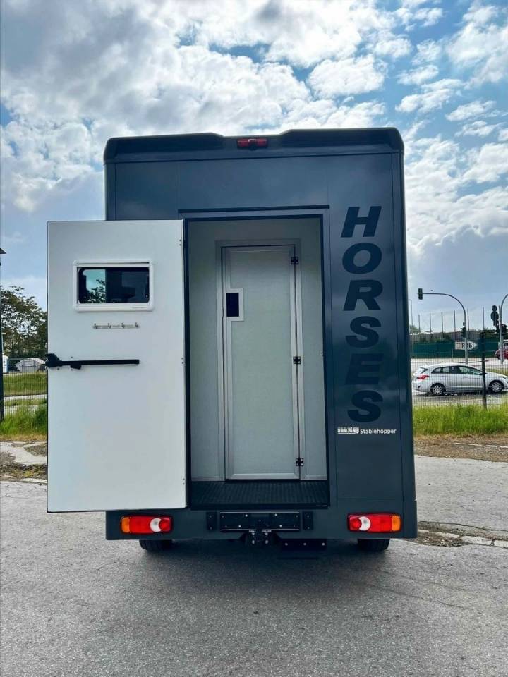 Van per Cavalli Altra marca PEUGEOT 0 Nuovo