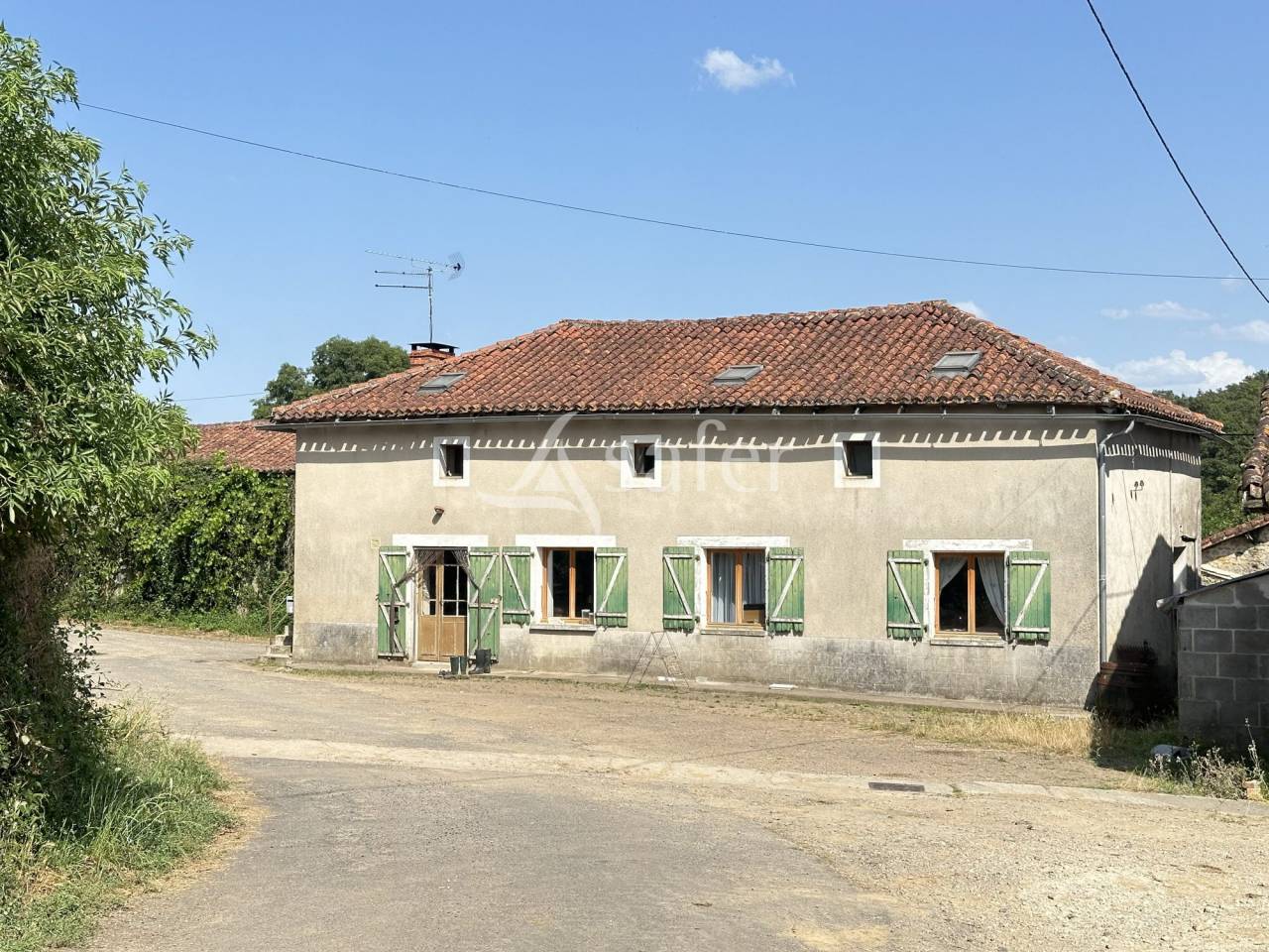 Azienda lattaia In vendita Charente