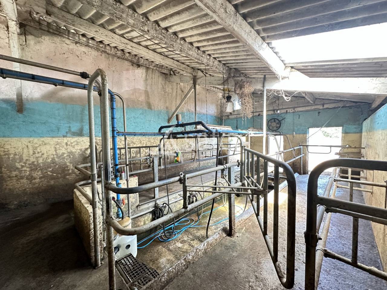 Azienda lattaia In vendita Charente