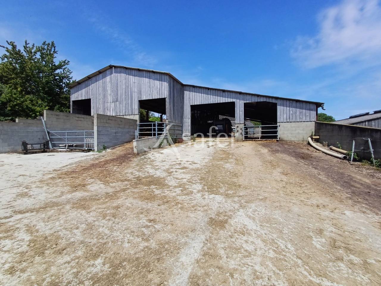 Azienda lattaia In vendita Charente