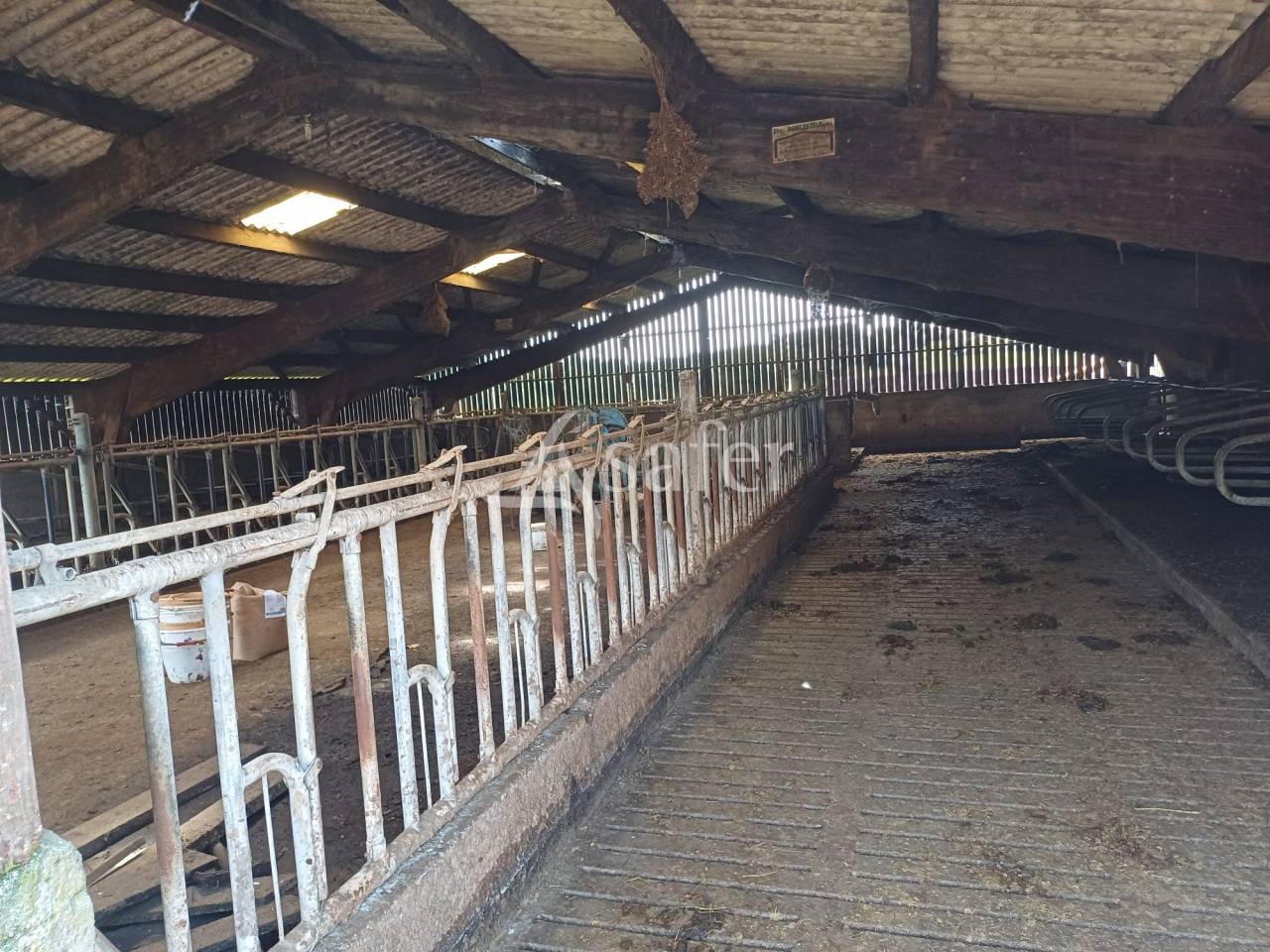 Azienda lattaia In vendita Charente