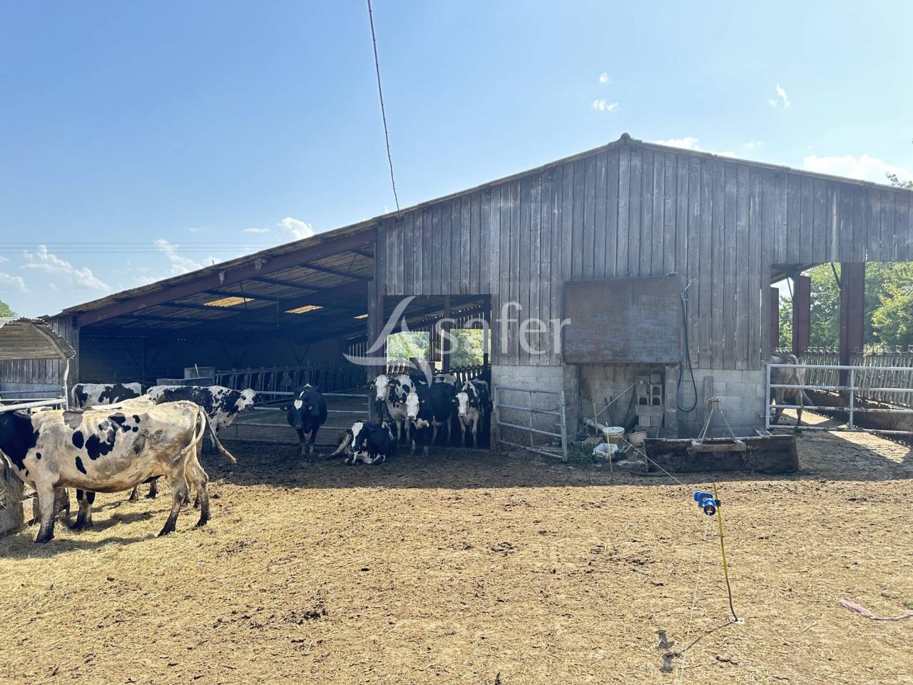 Azienda lattaia In vendita Charente