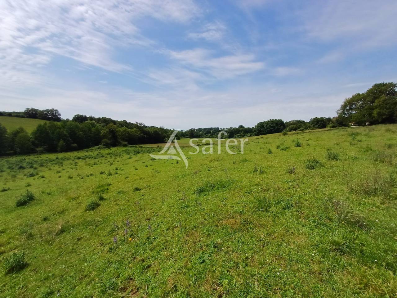 Azienda lattaia In vendita Charente