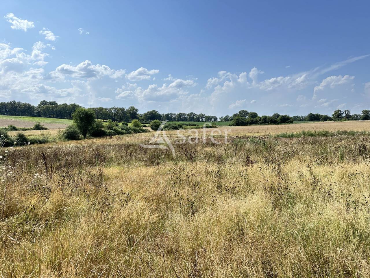 Azienda lattaia In vendita Charente