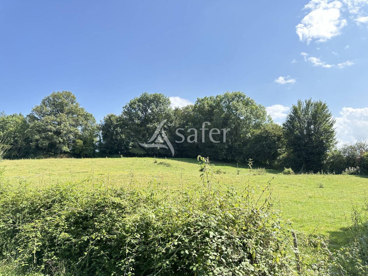 Azienda lattaia In vendita Charente