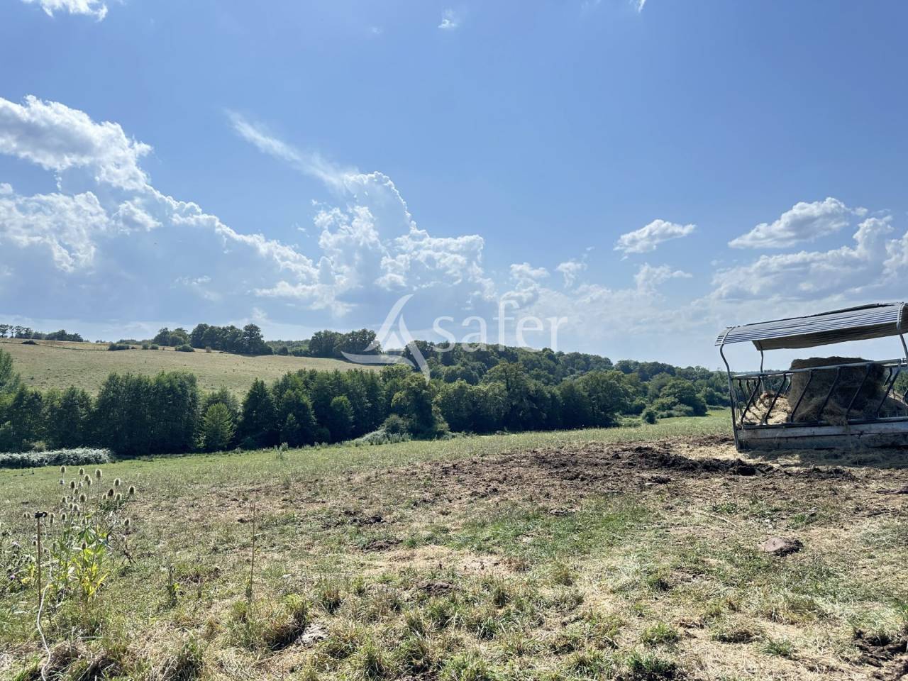 Azienda lattaia In vendita Charente