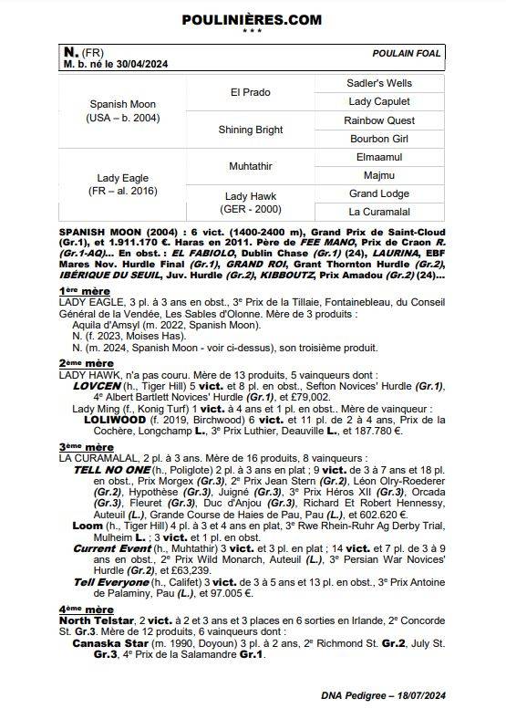 Puledro Purosangue In vendita 2024 Baio ,  Spanish Moon