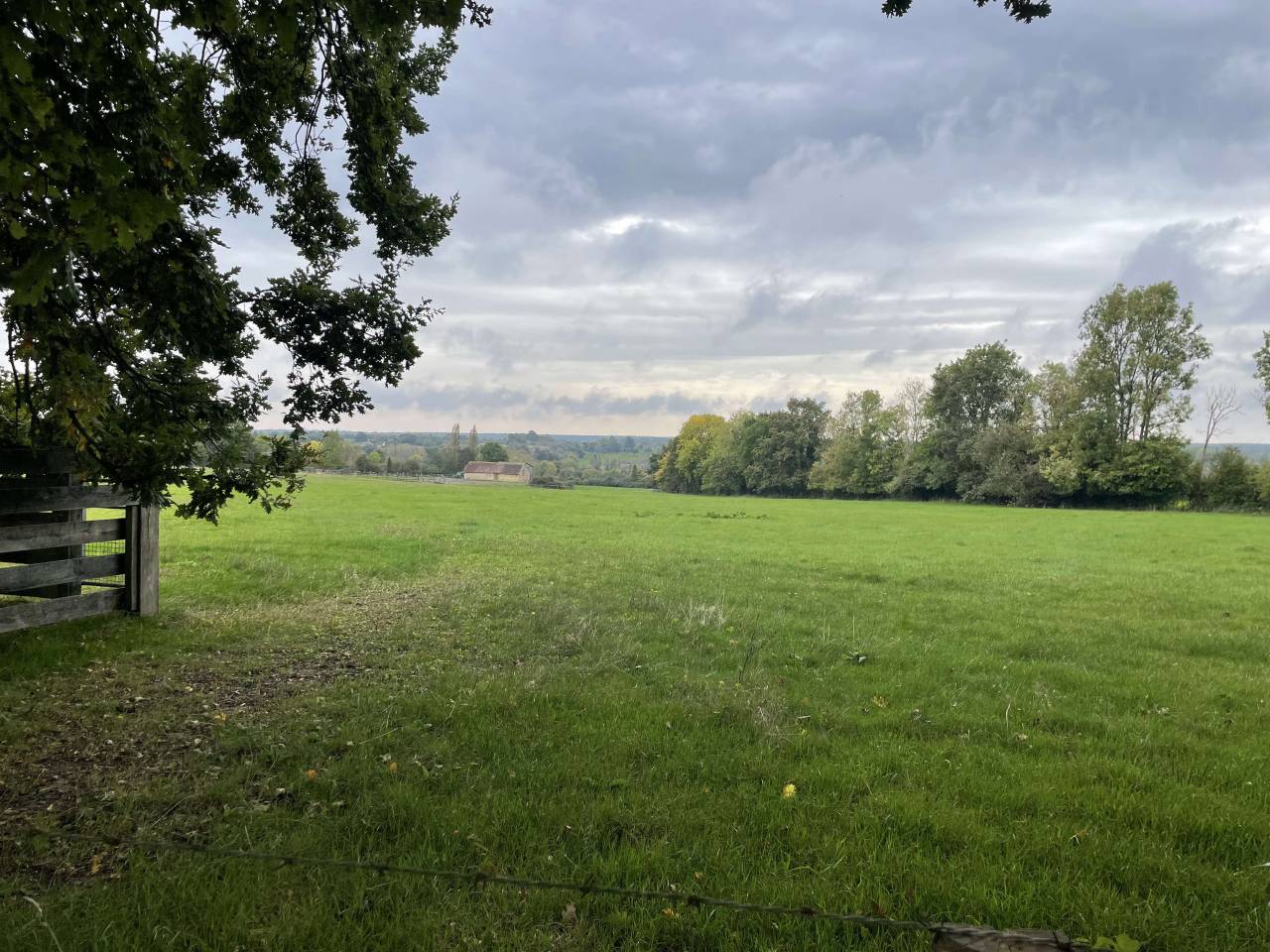 Centro di stagione cavallo In vendita Orne
