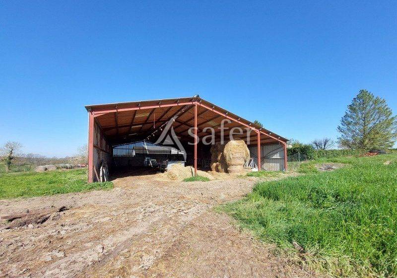 Azienda ovina In vendita Gironde