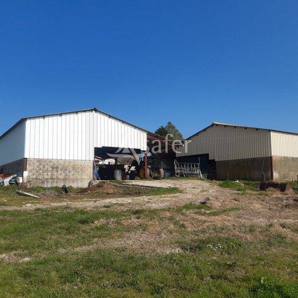 Azienda ovina In vendita Gironde