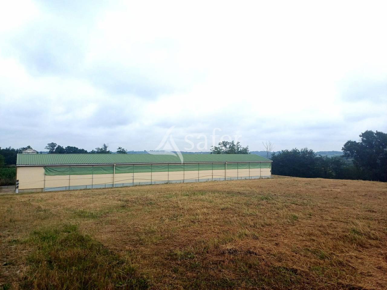 Azienda agricola In vendita Landes