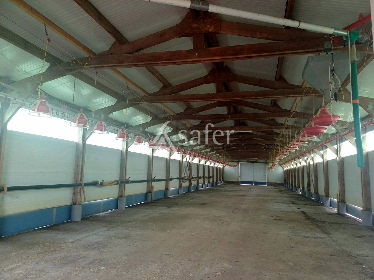 Azienda agricola In vendita Landes