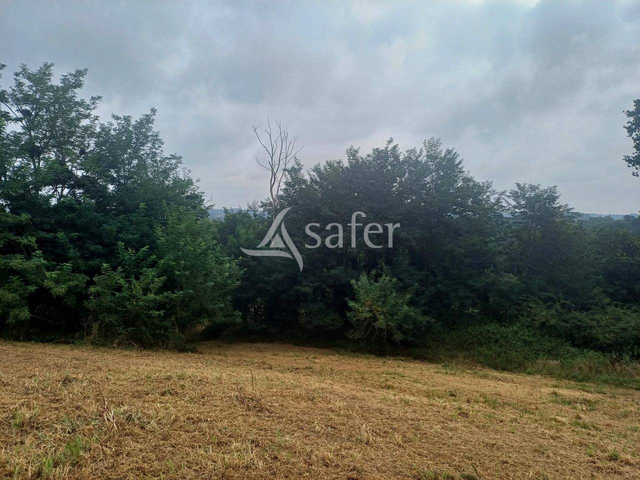 Azienda agricola In vendita Landes