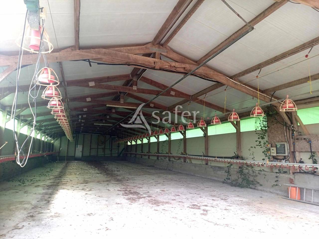 Azienda agricola In vendita Landes