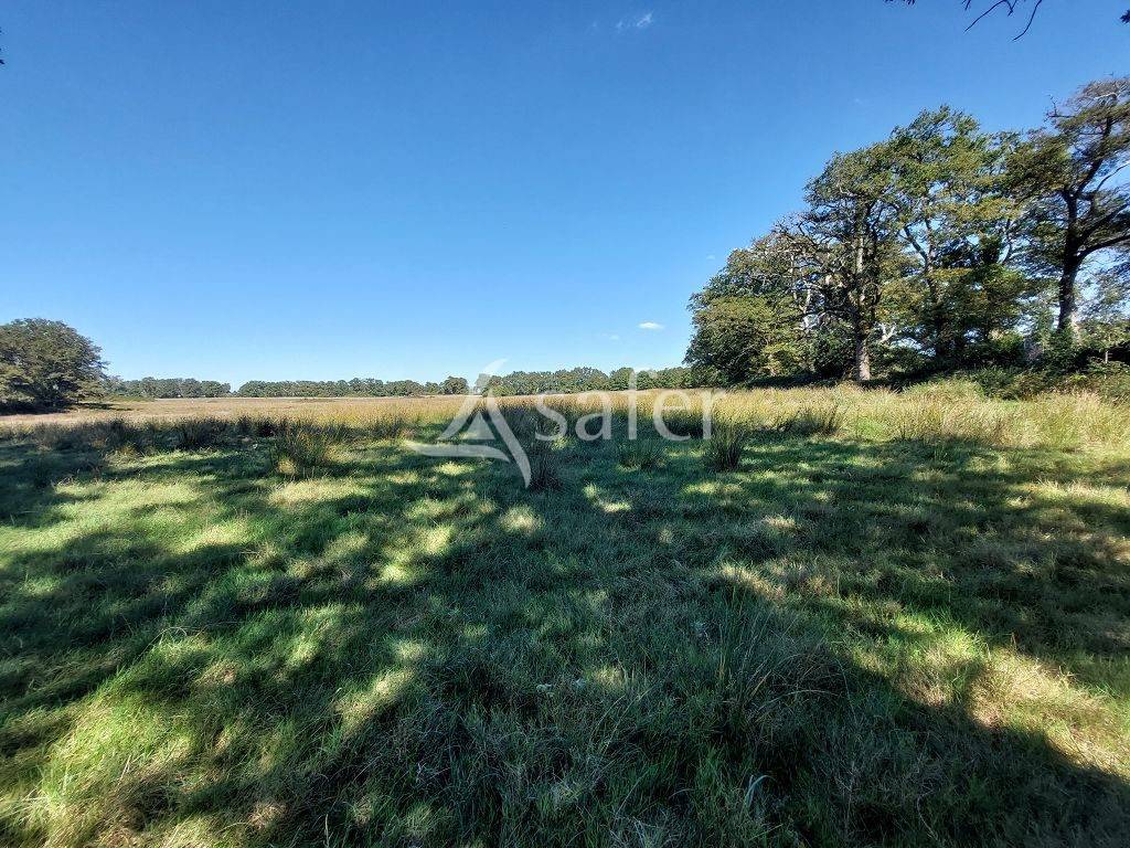 Proprietà rurale In vendita Haute-Vienne