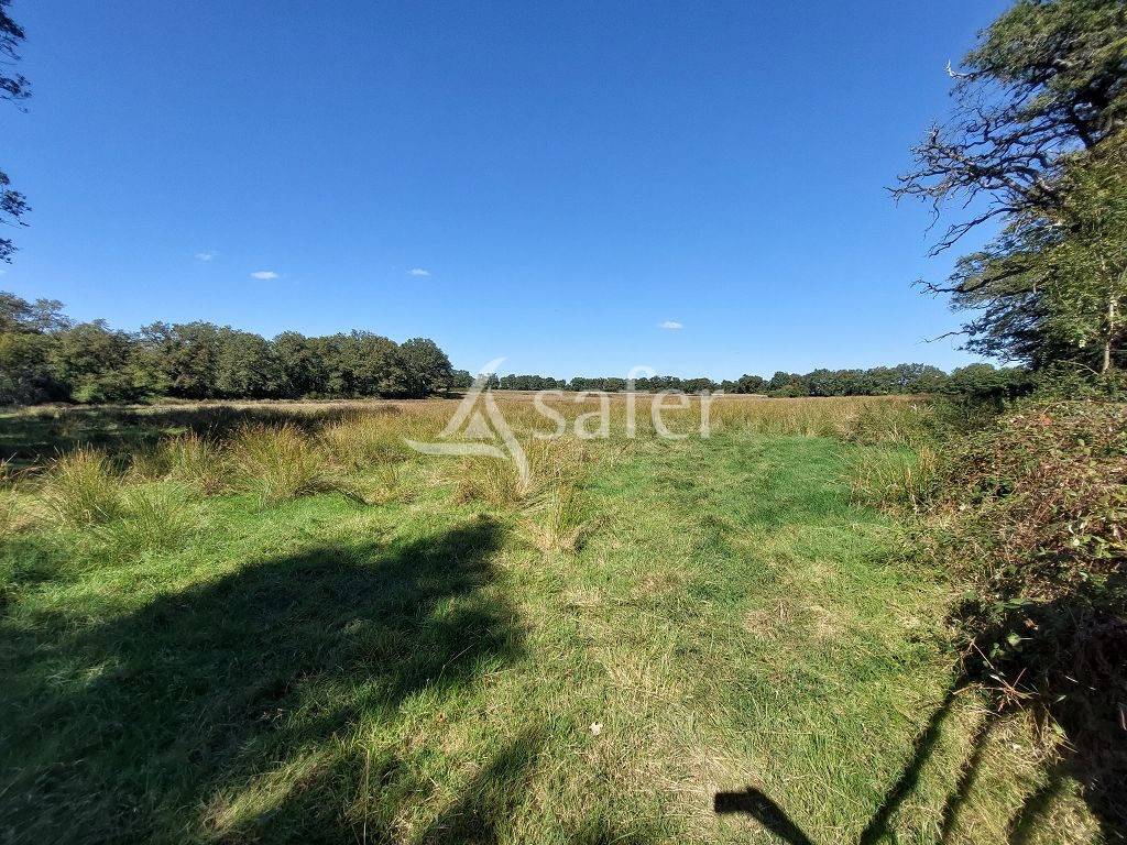 Proprietà rurale In vendita Haute-Vienne
