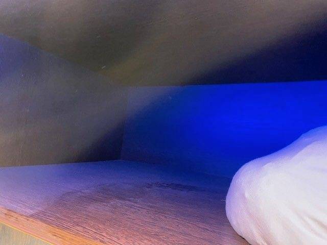 Camion per Cavalli Man MAN 0 Occasione