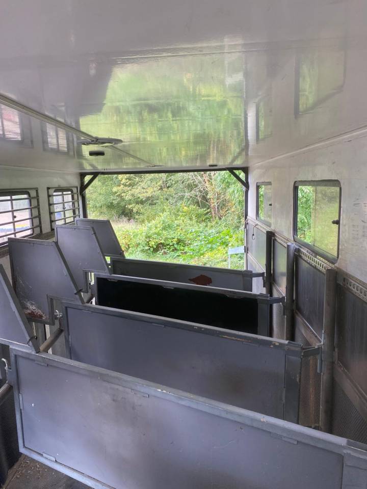 Camion per Cavalli Scania SCANIA 0 Occasione