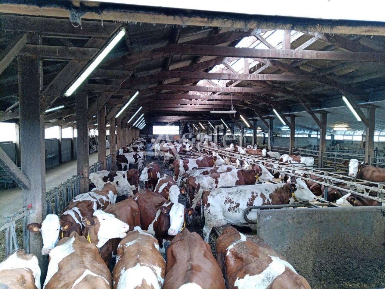 Azienda agricola In vendita Cantal