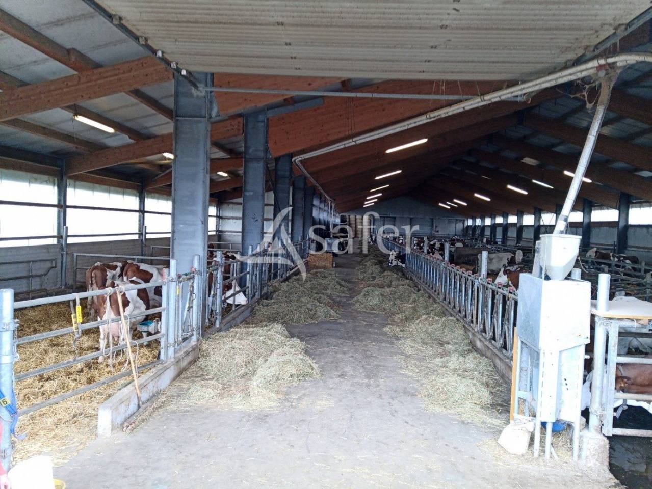 Azienda agricola In vendita Cantal