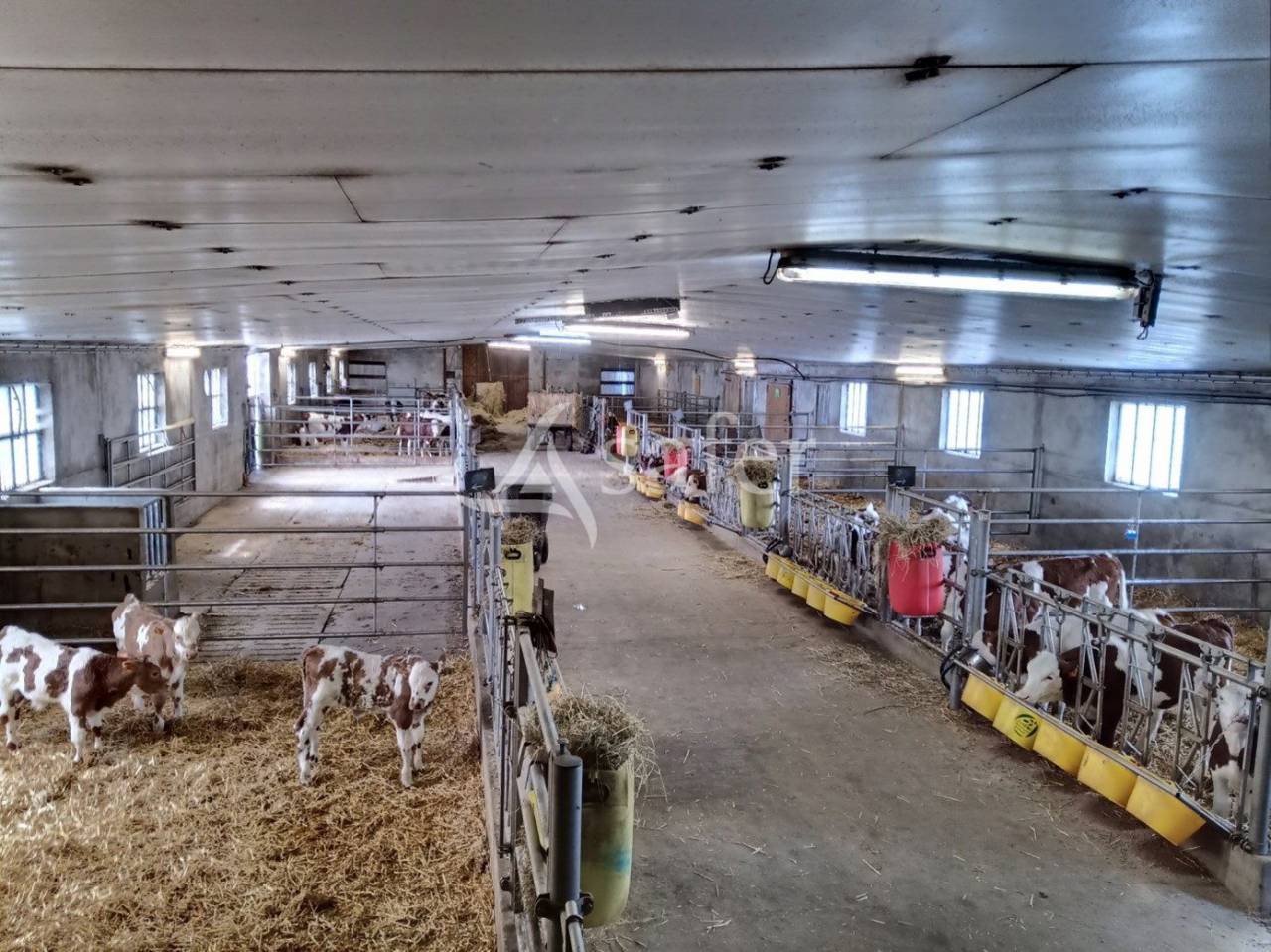 Azienda agricola In vendita Cantal