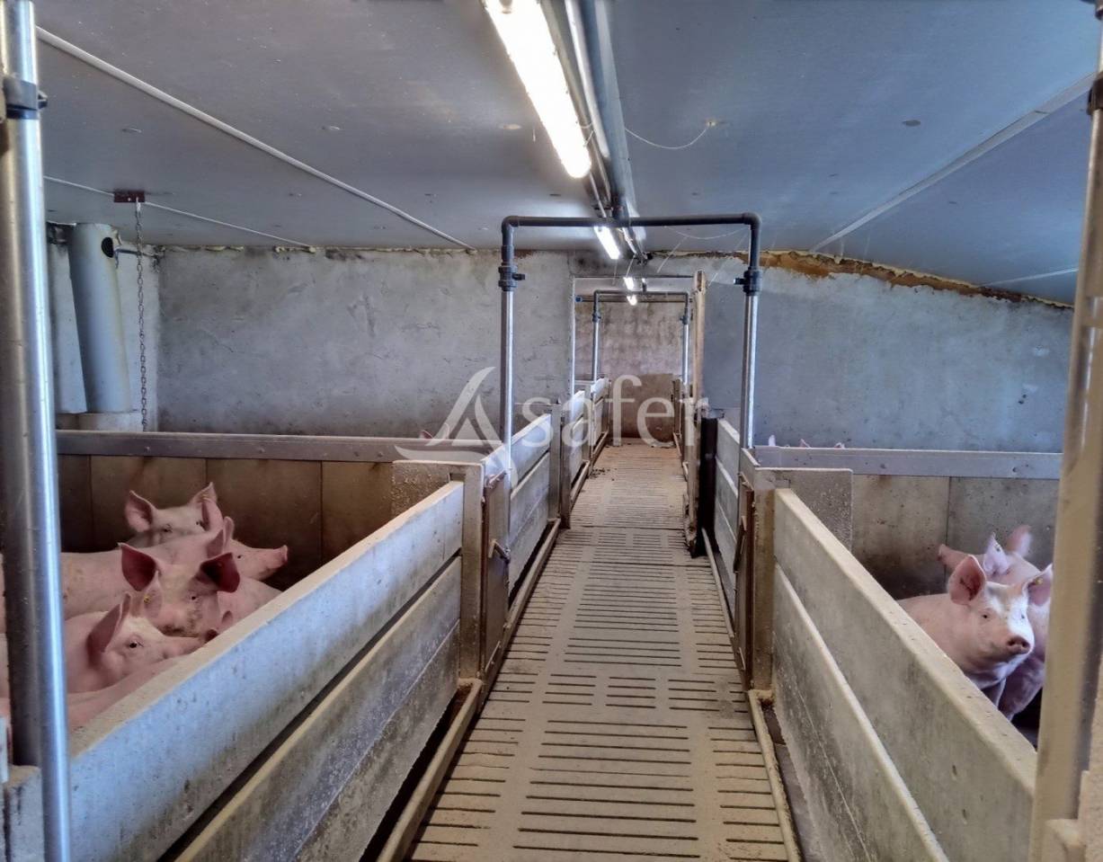 Azienda agricola In vendita Cantal