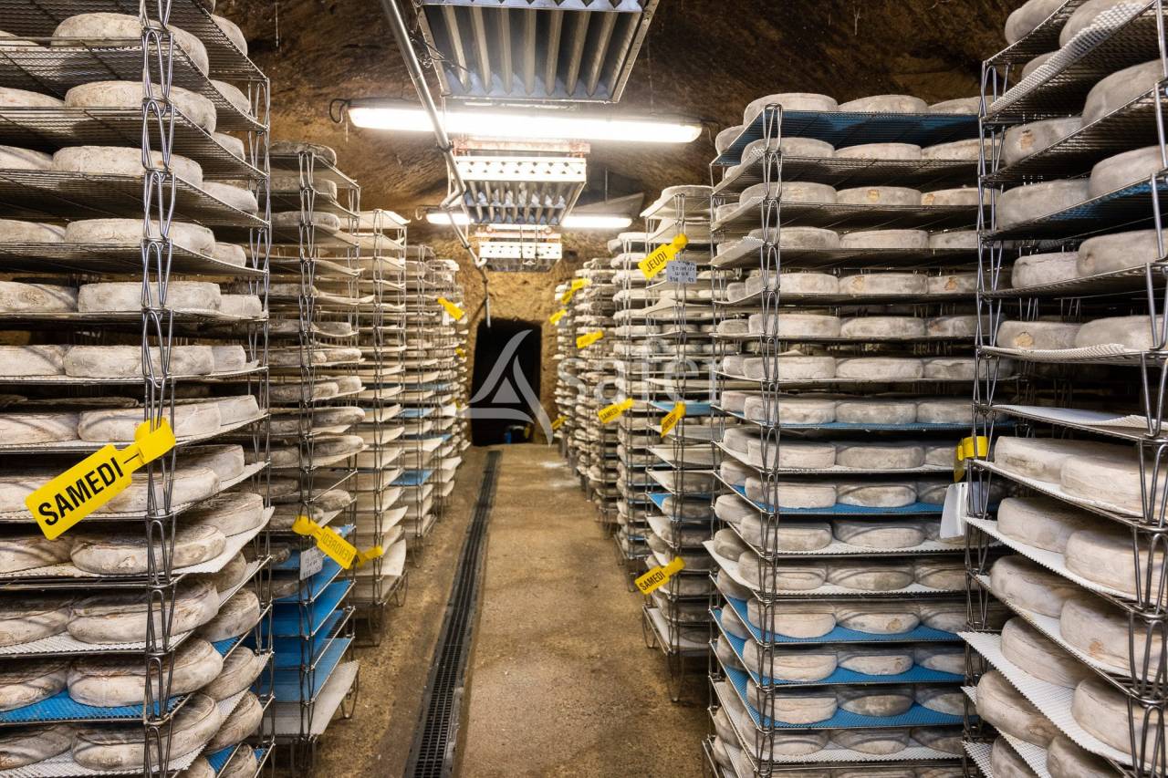 Azienda agricola In vendita Cantal