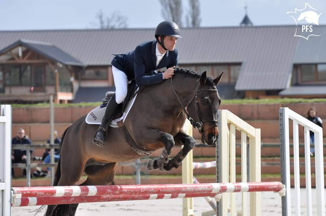 Vlashorst Arbalou - New Forest 2009 ,  Niloway Arbalou