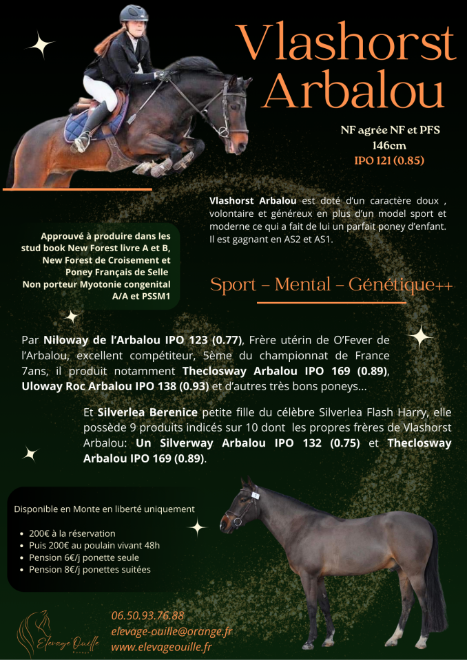 Vlashorst Arbalou - New Forest 2009 ,  Niloway Arbalou