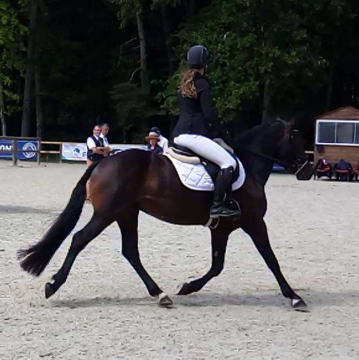 Logan du Poet  - New Forest 2021 ,  Birkilds Balboa dk