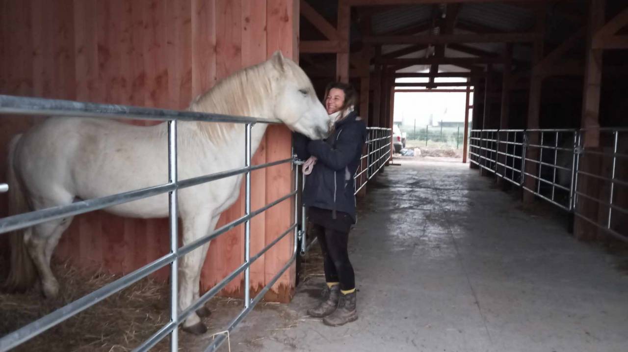 Esprit du Mas étalon Elite - Camargue 2014