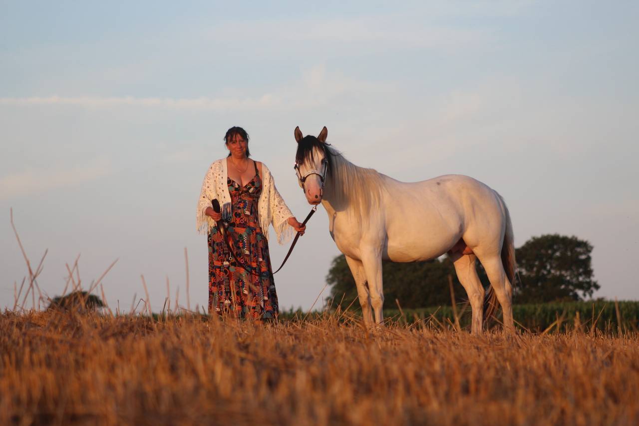 MOHICAN BLUE PRIMROSE - Paint Horse 2022 ,  pepsi poco smoke