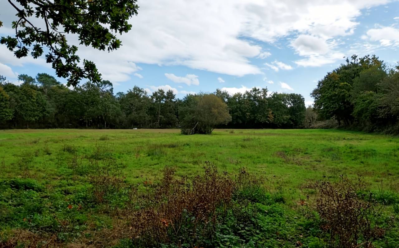 Bella dimora equestre In vendita Manche