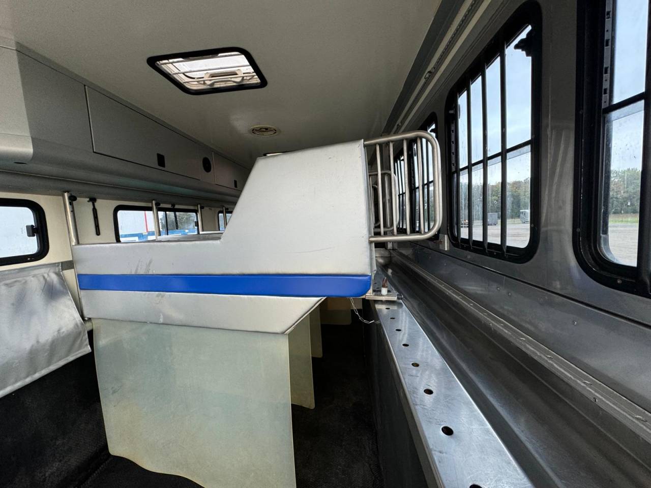 Camion per Cavalli Man AK 2007 Occasione