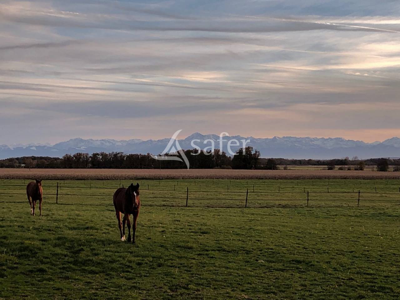 Proprietà equestre In vendita Hautes-Pyrénées