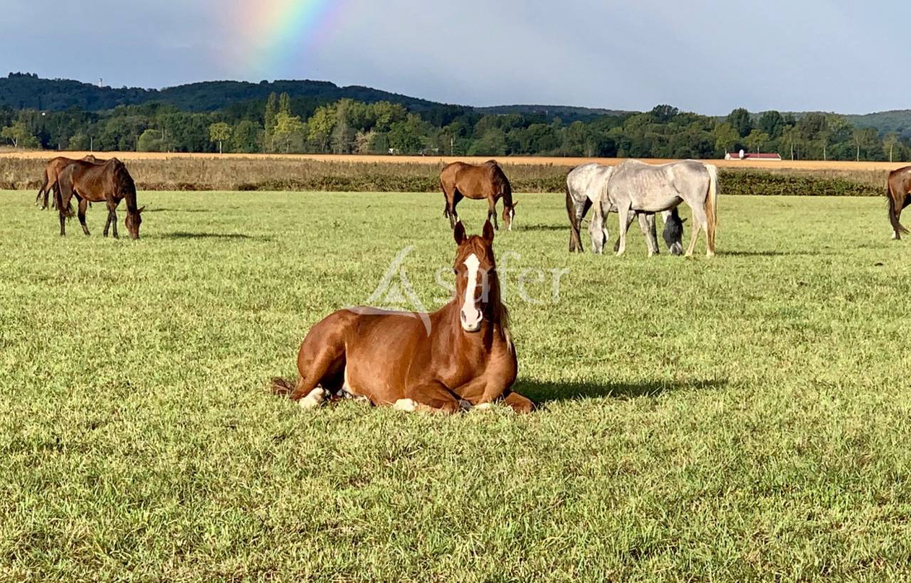 Proprietà equestre In vendita Hautes-Pyrénées