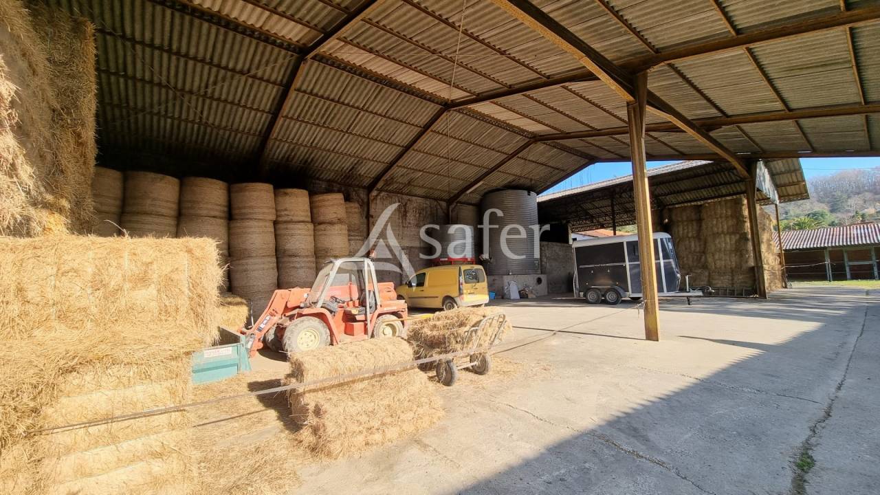 Proprietà equestre In vendita Hautes-Pyrénées
