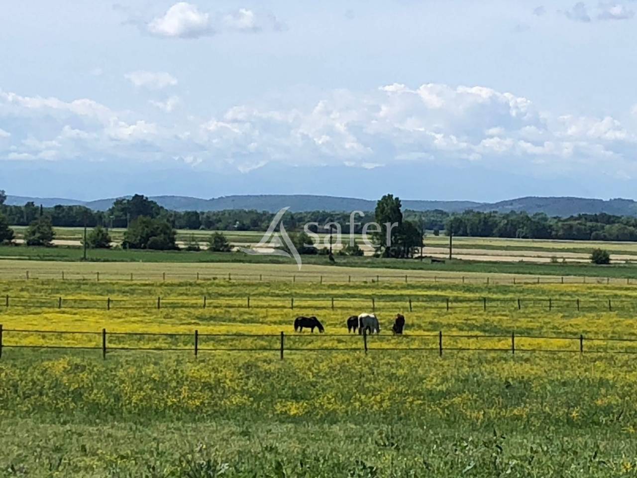 Proprietà equestre In vendita Hautes-Pyrénées