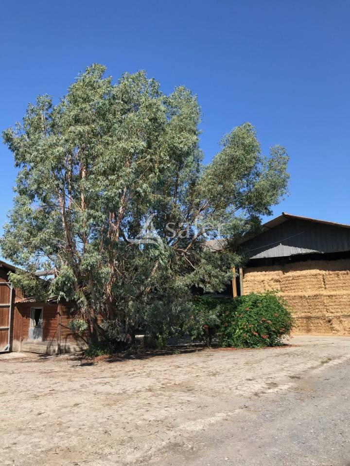 Proprietà equestre In vendita Hautes-Pyrénées