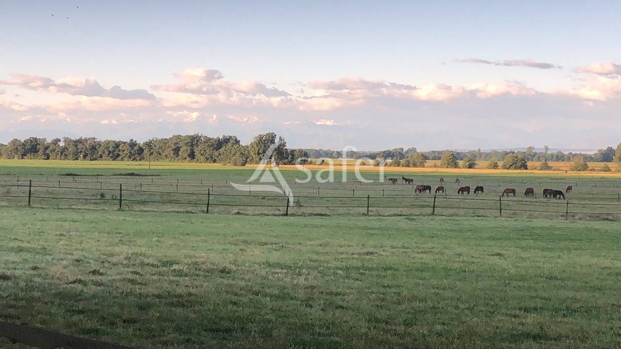 Proprietà equestre In vendita Hautes-Pyrénées