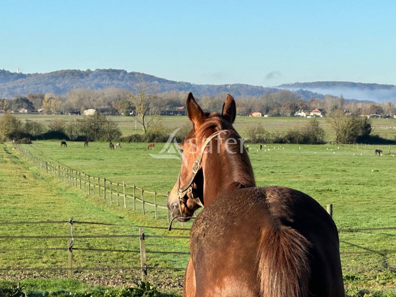 Proprietà equestre In vendita Hautes-Pyrénées